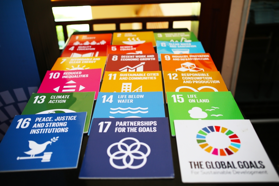 SDG tiles